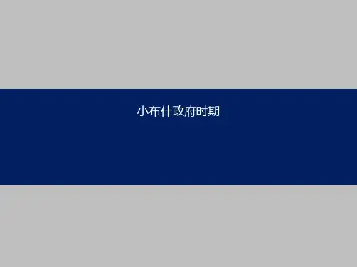 小布什政府对外贸易政策