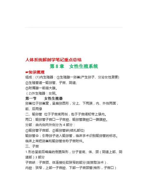 人体解剖学重点总结第8~10章