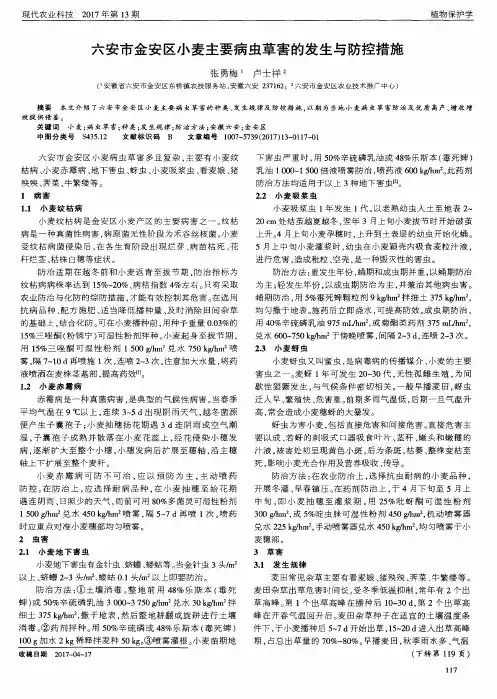 六安市金安区小麦主要病虫草害的发生与防控措施