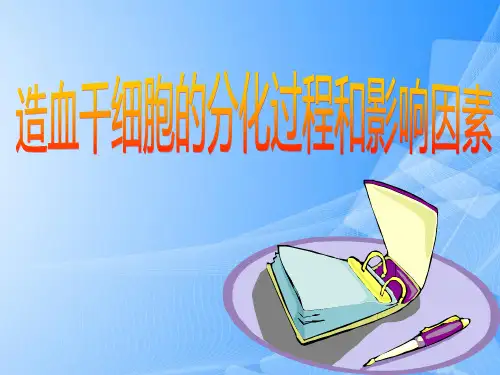 【完整版】造血干细胞的分化过程和影响因素PPT文档