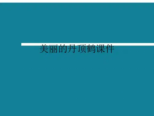 优选美丽的丹顶鹤课件