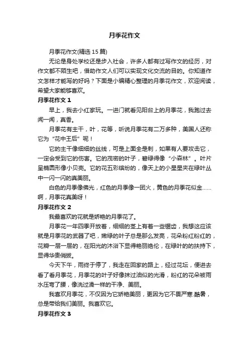 月季花作文（精选15篇）