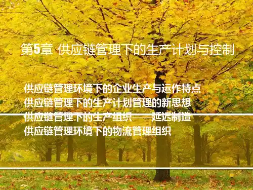 供应链管理第5章 SCM下的生产计划与控制