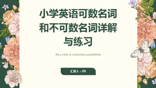 小学英语可数名词和不可数名词详解与练习