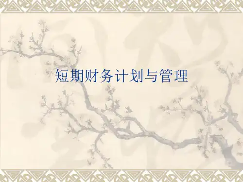 短期财务计划
