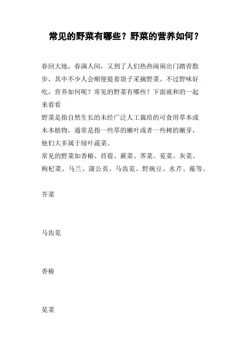 常见的野菜有哪些？野菜的营养如何？
