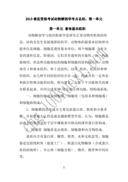 2013兽医资格考试动物解剖学考点总结