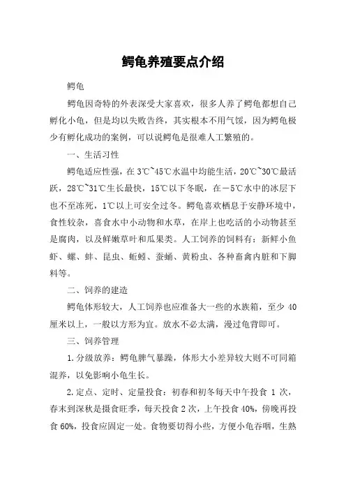 鳄龟养殖要点介绍