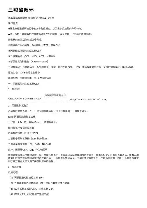 三羧酸循环——精选推荐