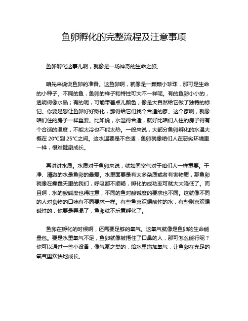 鱼卵孵化的完整流程及注意事项