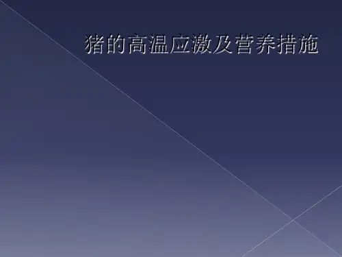 猪的高温应激及营养措施