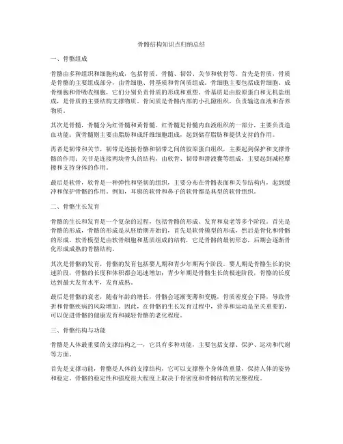 骨骼结构知识点归纳总结