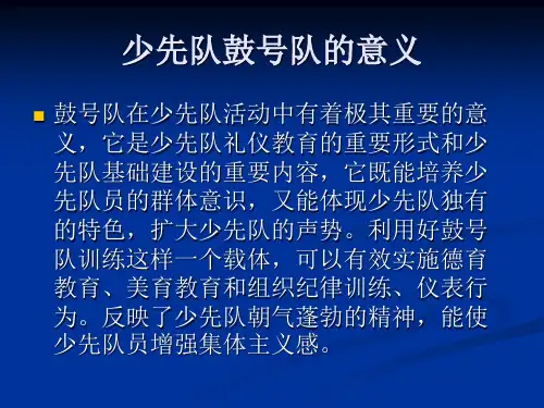 少先队鼓号队组织与训练