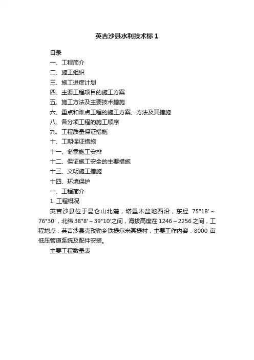 英吉沙县水利技术标1