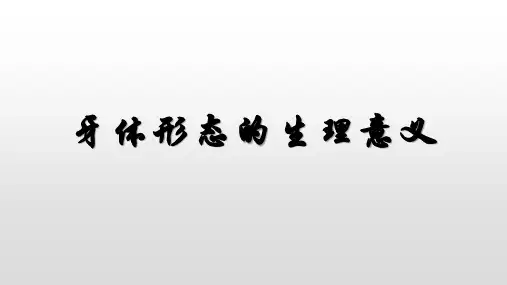 牙体形态的生理意义