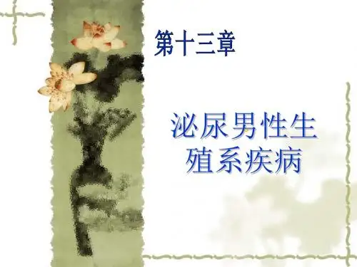 泌尿男性生殖系疾病课件