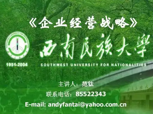 企业经营战略汇总