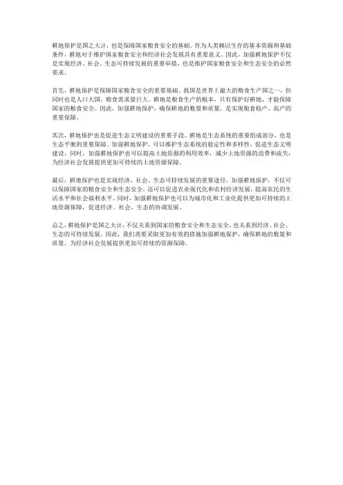 对耕地保护是国之大者的认识