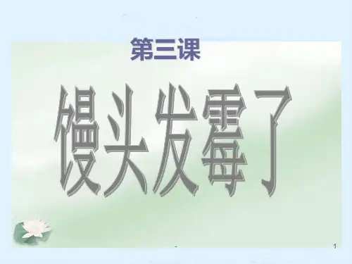 六年级科学上册-馒头发霉了PPT课件