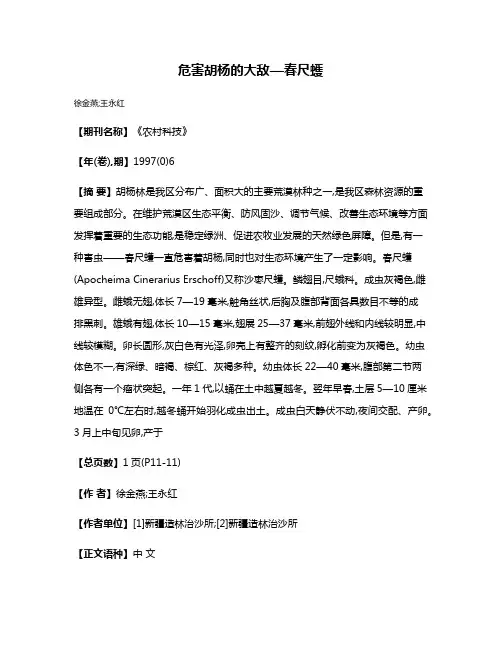 危害胡杨的大敌—春尺蠖