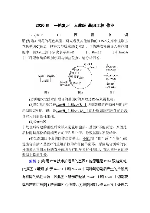 2020年高考  一轮复习  人教版 基因工程 作业.doc
