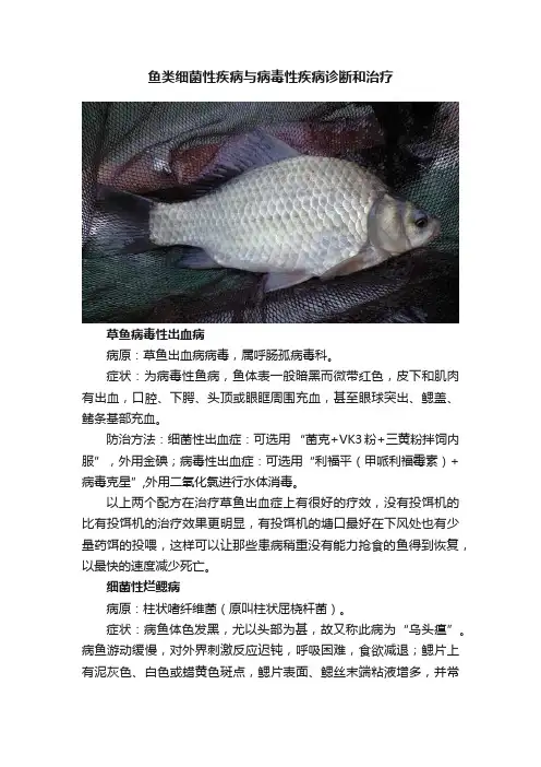 鱼类细菌性疾病与病毒性疾病诊断和治疗