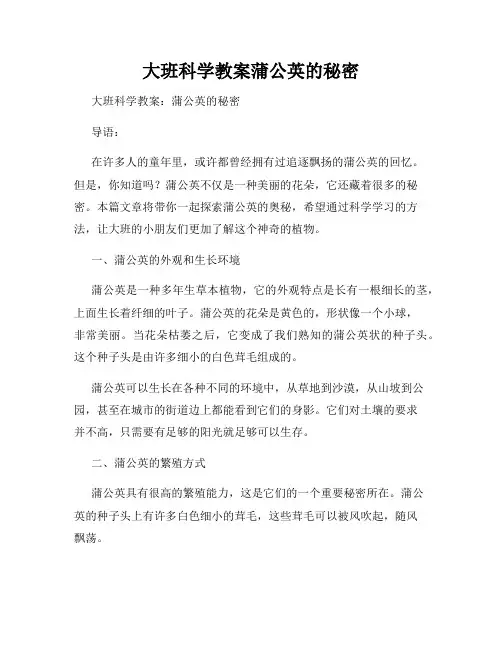 大班科学教案蒲公英的秘密