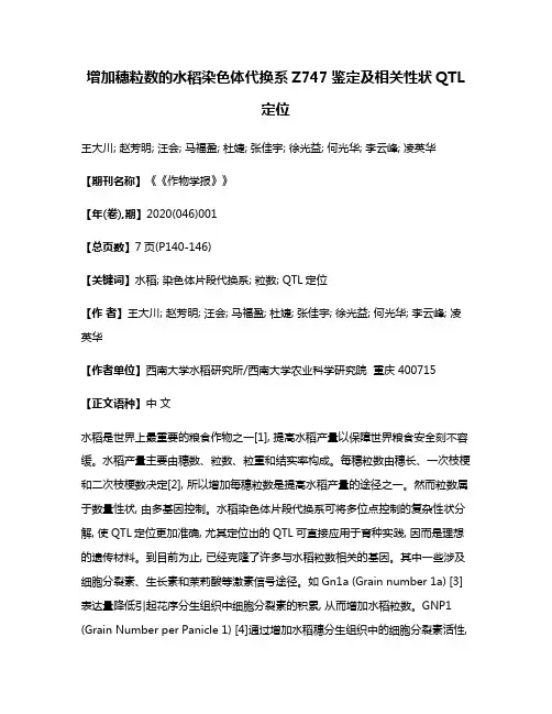 增加穗粒数的水稻染色体代换系Z747鉴定及相关性状QTL定位