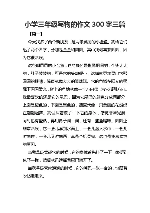 小学三年级写物的作文300字三篇