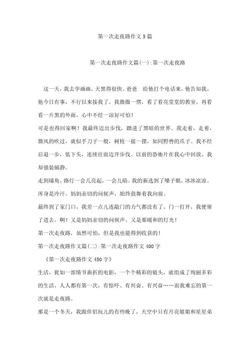 第一次走夜路作文5篇