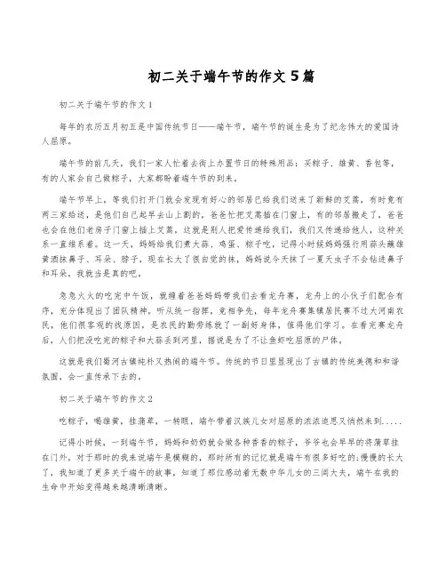 初二关于端午节的作文5篇