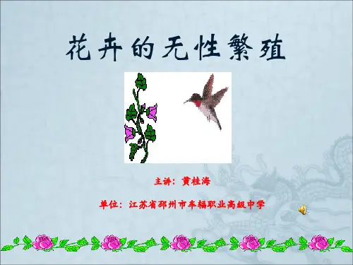 《花卉的无性繁殖》PPT课件