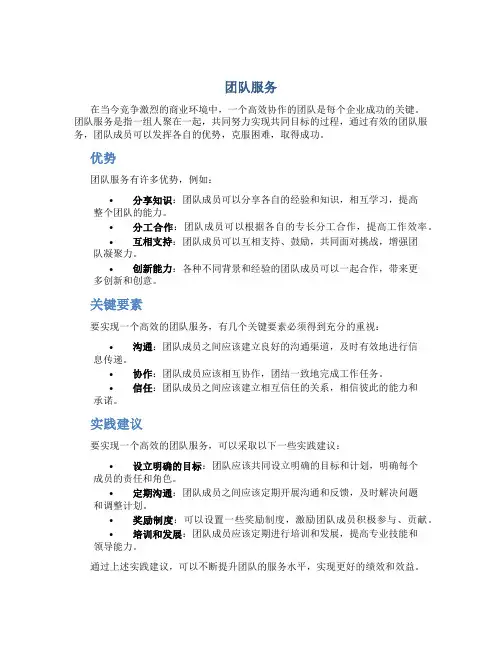 团队服务资料