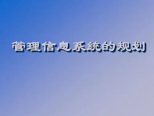 专题：信息系统规划方法