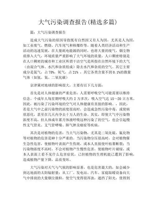 大气污染调查报告(精选多篇)
