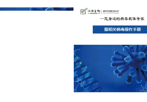 腺相关病毒操作技巧——轻松入门