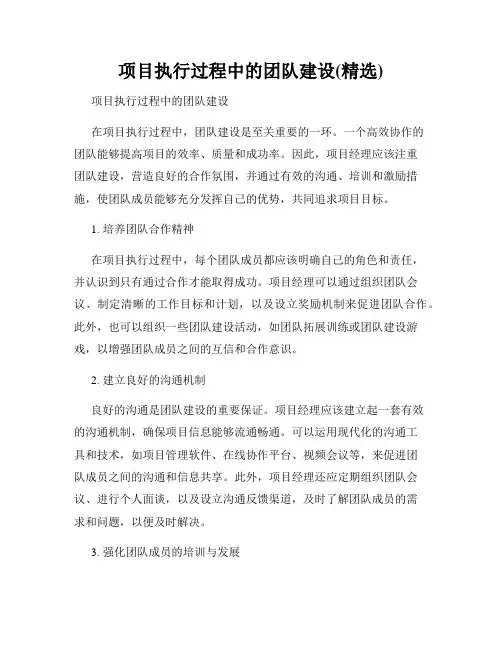 项目执行过程中的团队建设(精选)