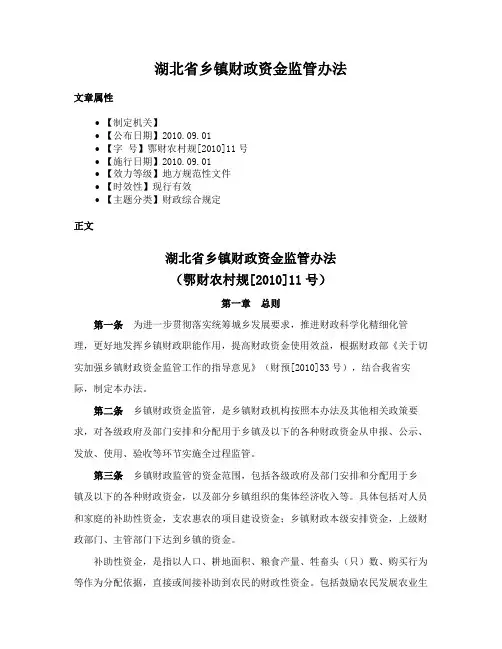 湖北省乡镇财政资金监管办法