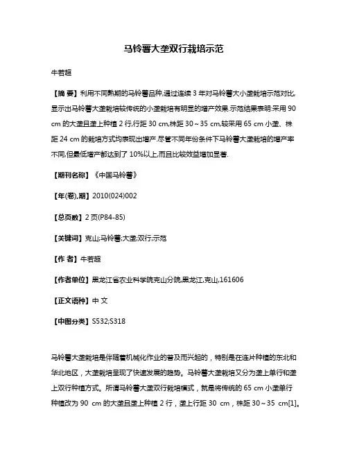 马铃薯大垄双行栽培示范
