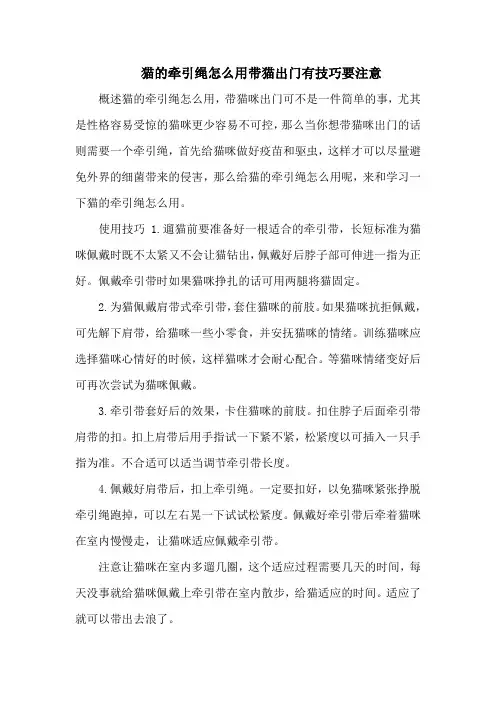 猫的牵引绳怎么用带猫出门有技巧要注意