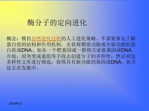 酶的定向进化