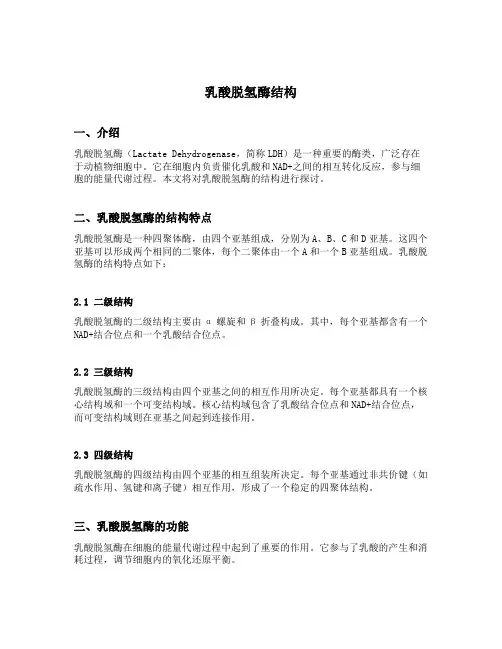 乳酸脱氢酶结构