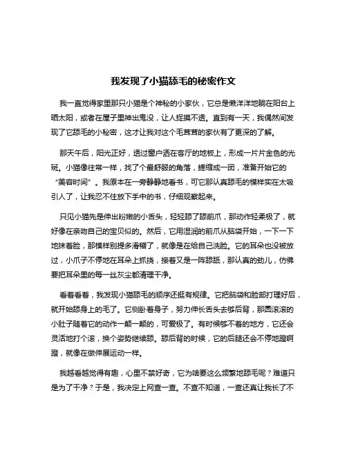 我发现了小猫舔毛的秘密作文