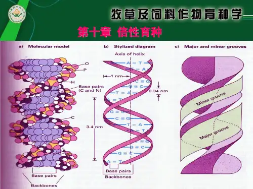 第十章 倍性育种