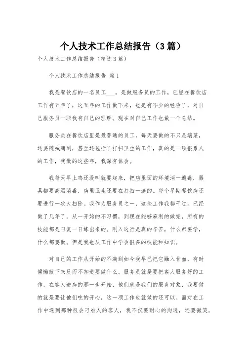 个人技术工作总结报告(3篇)