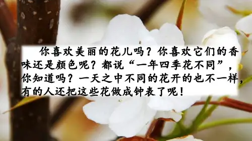 部编版三年级语文下册13《花钟》精品课件