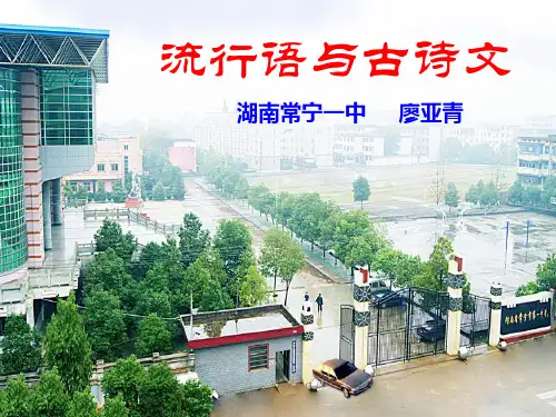 流行语与古诗文