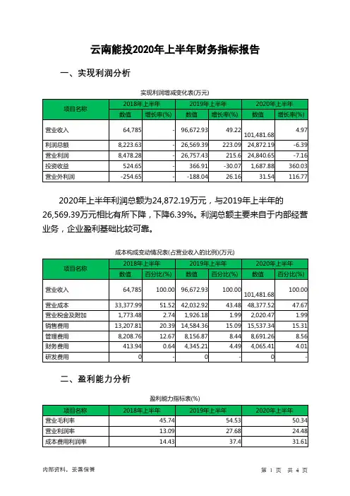 云南能投2020年上半年财务指标报告