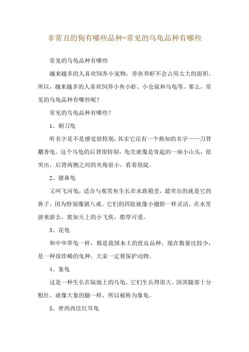 非常丑的狗有哪些品种-常见的乌龟品种有哪些