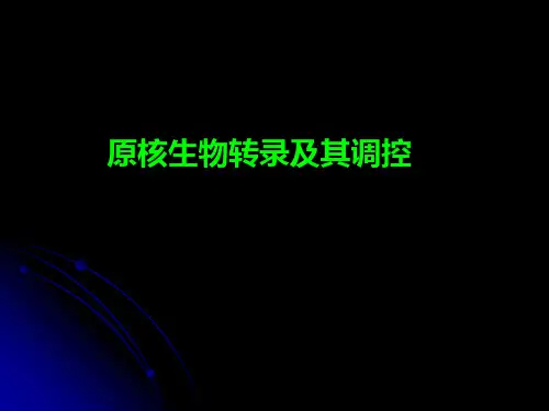 2 原核生物转录及调控